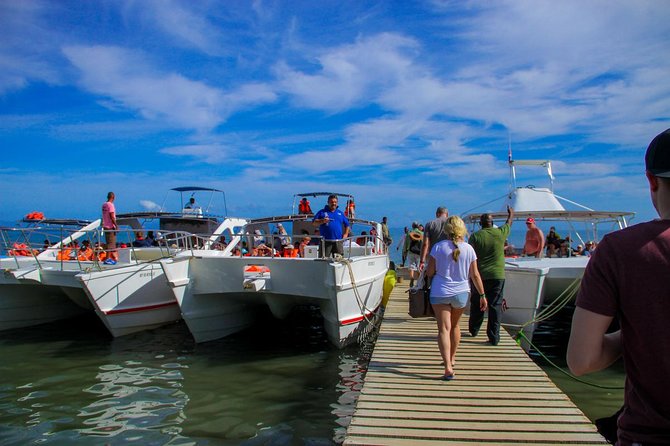 Humpback whales Watching + Samana Eco-Tour - Samaná City adds a short local view
