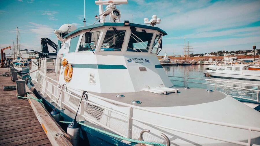 Húsavík: Whale Watching – Family Run with Indoor Seats - Should you book Friends of Moby Dick?