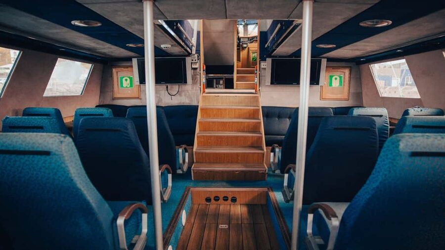 Húsavík: Whale Watching – Family Run with Indoor Seats - Guides who make the waiting worthwhile