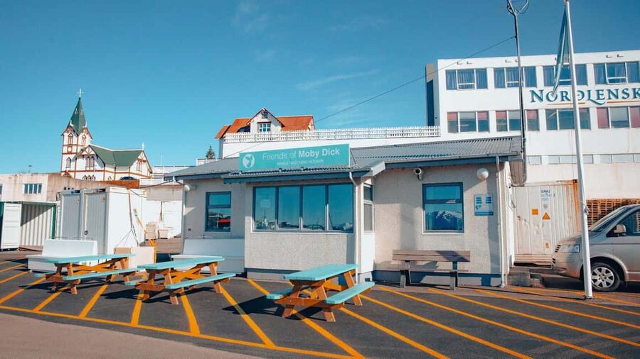 Húsavík: Whale Watching – Family Run with Indoor Seats - A responsible approach to wild animals