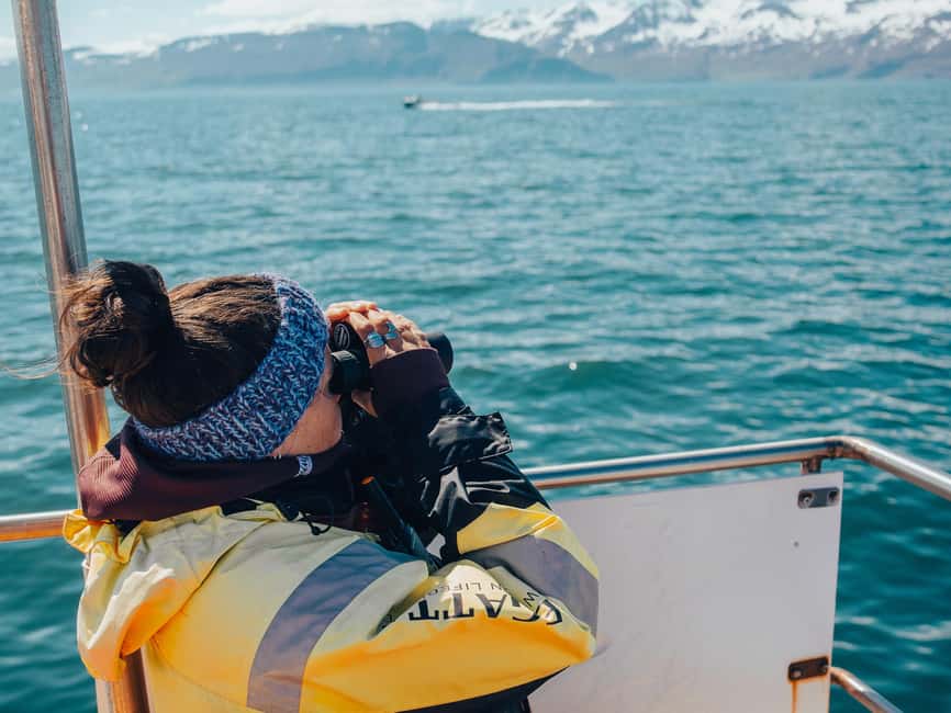 Húsavík: Whale Watching – Family Run with Indoor Seats - Who should book, and who should think twice