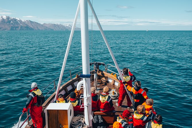 Húsavík Whale Watching Tour, family owned and operated - A family-run whale watch across Skjálfandi Bay