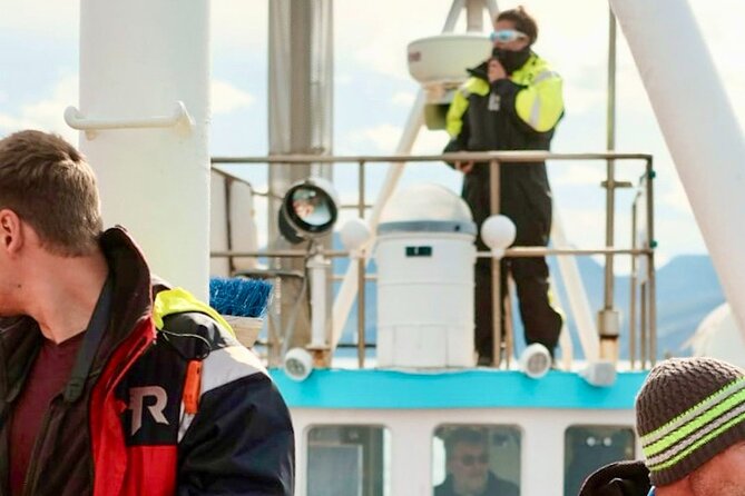 Húsavík Whale Watching Tour, family owned and operated - Booking, weather, and timing details