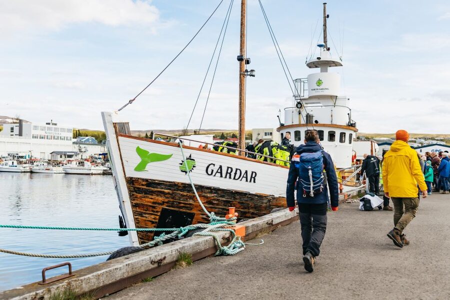 Húsavík: Whale Watching Tour with Guide - Should you book North Sailing in Húsavík?