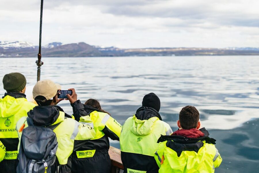 Húsavík: Whale Watching Tour with Guide - Watching whales in their natural habitat