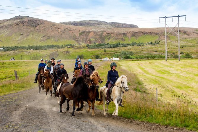Icelandic Horse Riding and Whale Watching Cruise from Reykjavík - The morning ride at Hótel Eldhestar