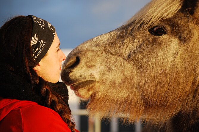 Icelandic Horse Riding and Whale Watching Tour from Reykjavik - Riding Icelandic horses through volcanic country