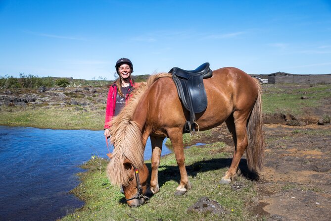 Icelandic Horse Riding and Whale Watching Tour from Reykjavik - Who should book this Reykjavik combination?