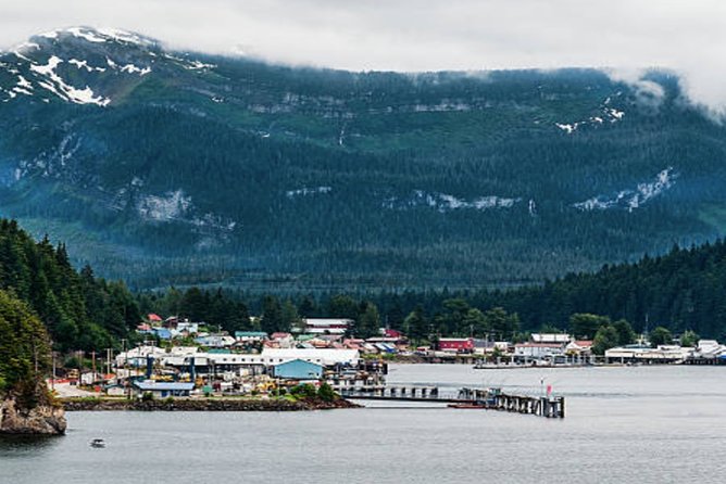 Icy Strait Shore Excursion: Whale Watching Adventure Tour - Is $326.58 a Fair Price?