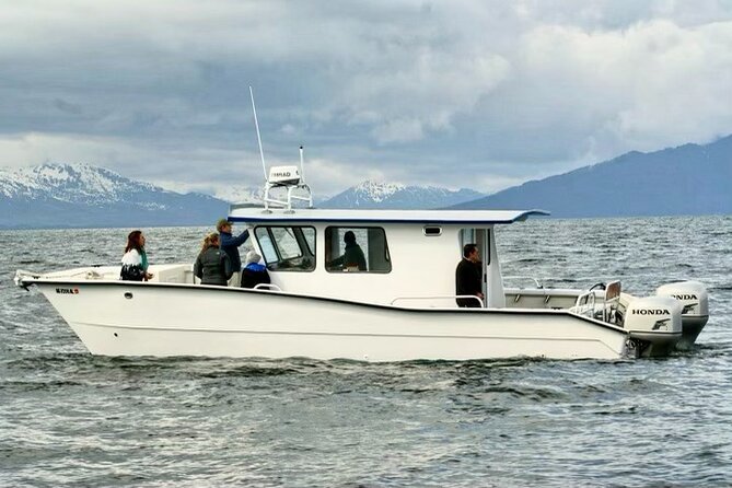 Icy Strait Whale & Wildlife Endeavor - Wildlife possibilities beyond humpbacks