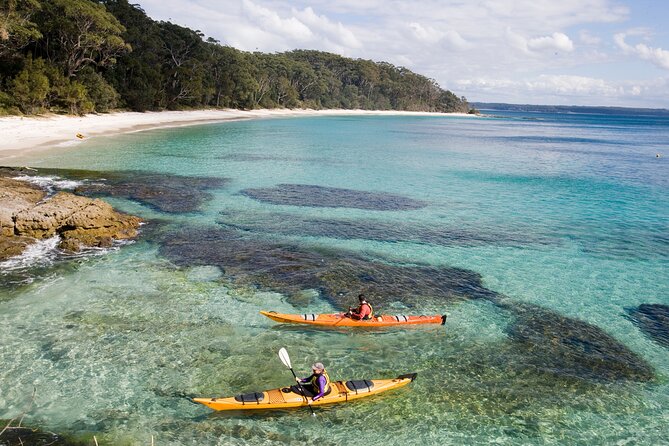 Jervis Bay Whale Watching Tour - Price, timing, and who gets good value