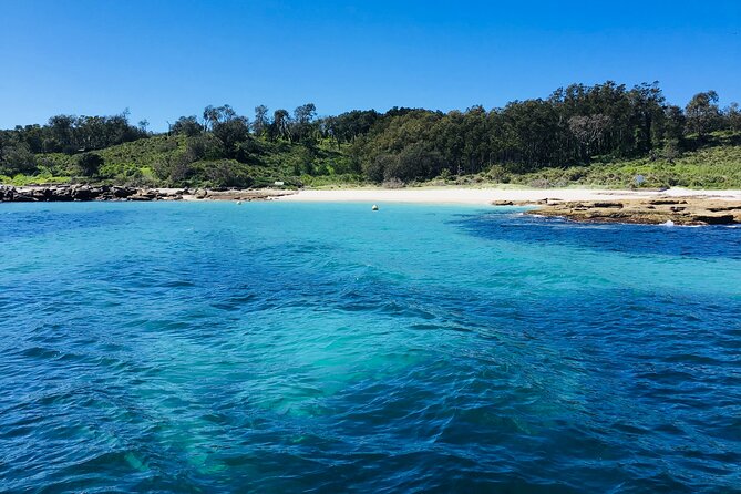 Jervis Bay Whale Watching Tour - When the trip works best