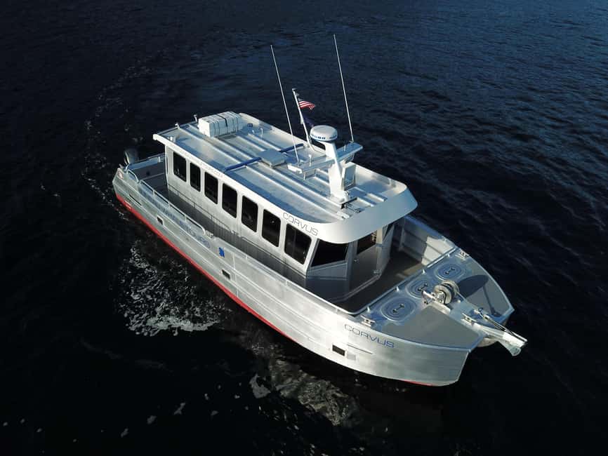Juneau: 3.5-Hour Small Group Whale Watching Tour - Key points at a glance