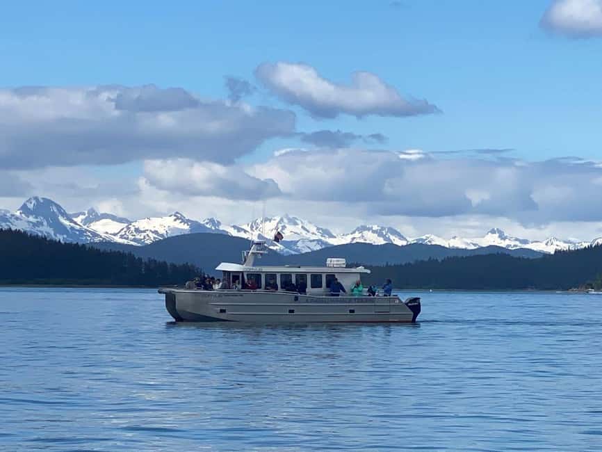 Juneau: 3.5-Hour Small Group Whale Watching Tour - Two hours and 15 minutes in Auke Bay