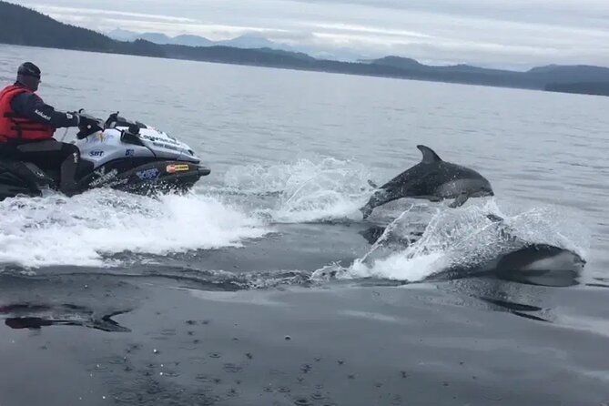 Juneau Jetski & Whale Adventure - Around Juneau and behind Douglas Island