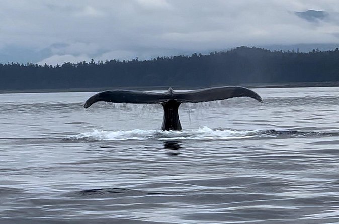Juneau Jetski & Whale Adventure - Safety, instruction, and the cold
