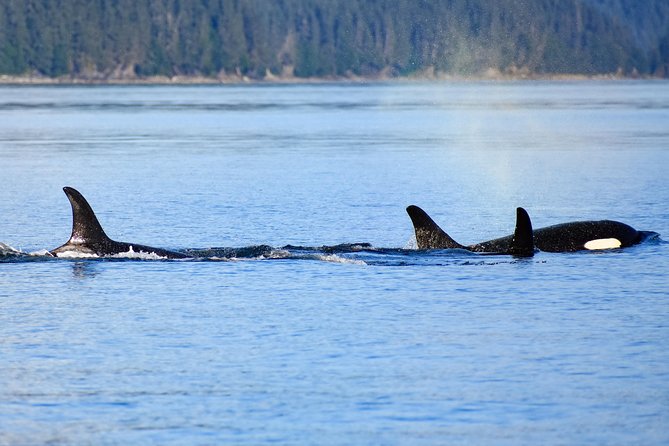 Juneau Lighthouse Tours - Whale watching & Lighthouse Combo - Snacks that make a long boat ride easier