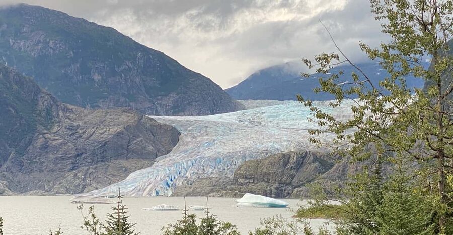 Juneau: Mendenhall Glacier and Whale Watching Tour - Key points at a glance