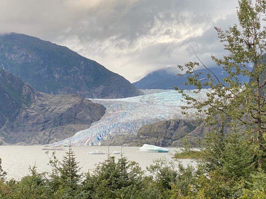 Juneau: Mendenhall Glacier and Whale Watching Tour - Why this Juneau combination works so well