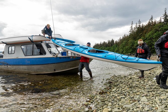 Juneau Shore Excursion: Paddle with Whales Kayak Adventure - Four Hours in a Double Kayak