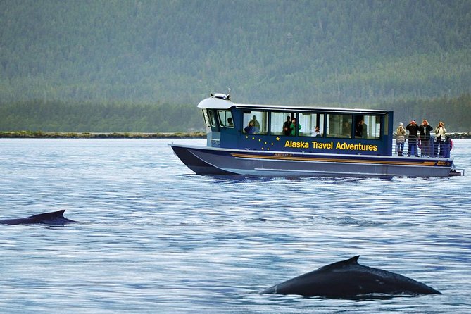 Juneau Whale Watching Adventure - The guides are part of the experience