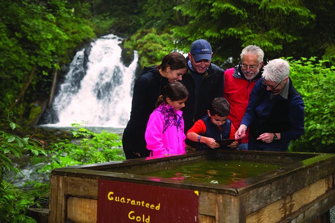 Juneau Whale Watching and Salmon Bake - Gold Creek Salmon Bake is a pleasant second act