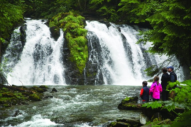 Juneau Whale Watching and Salmon Bake - Use your free time at the creek