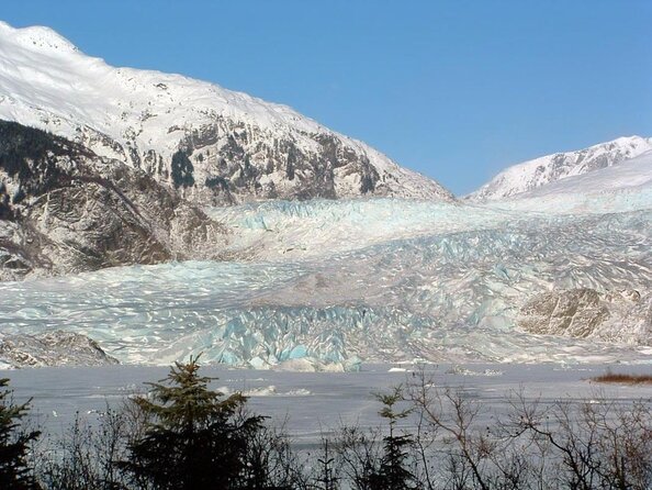 Juneau Wildlife Whale Watching & Mendenhall Glacier - Snacks, water, and comfort on board