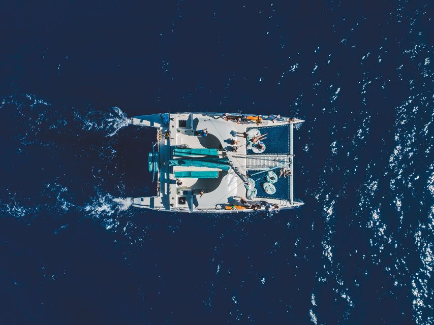 Kaanapali: Whale Watching Cruise with Open Bar - Searching for humpbacks off Maui