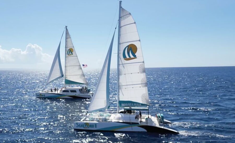 Kaanapali: Whale Watching Cruise with Open Bar - Guides who make the sightings mean more