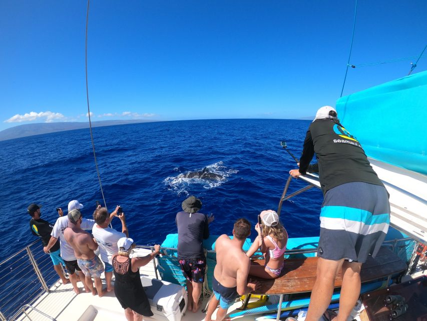 Kaanapali: Whale Watching Cruise with Open Bar - The catamaran makes the ride part of the experience