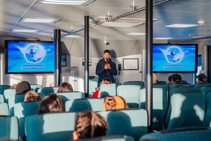 Kaikoura: Whale Watching Cruise - Key points to know before booking