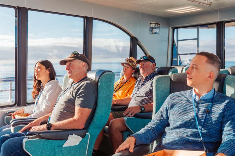 Kaikoura: Whale Watching Cruise - What the crew adds to the trip