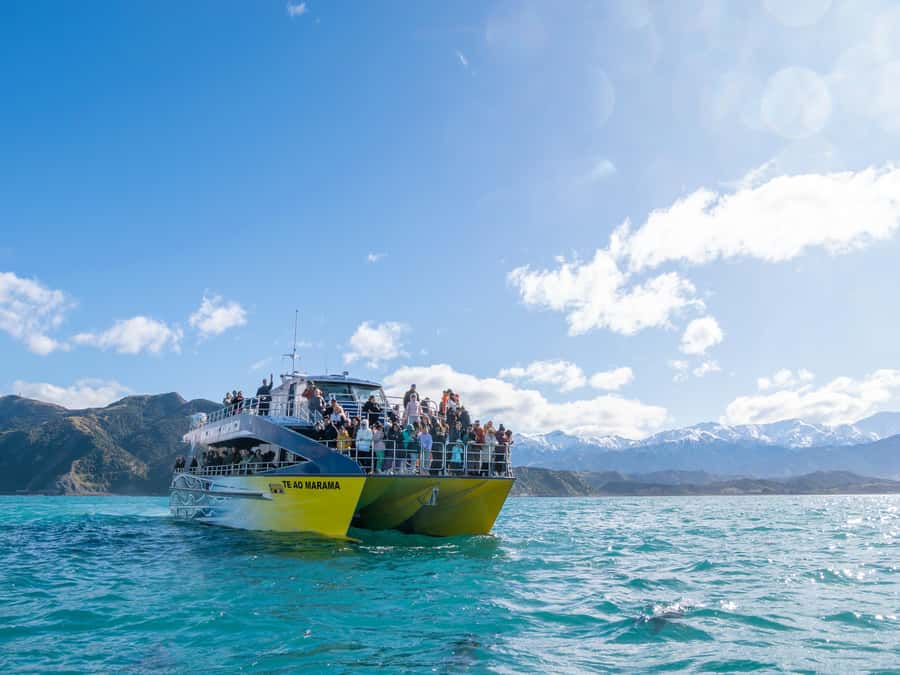 Kaikoura: Whale Watching Cruise - Check-in, transfer, and the first minutes aboard