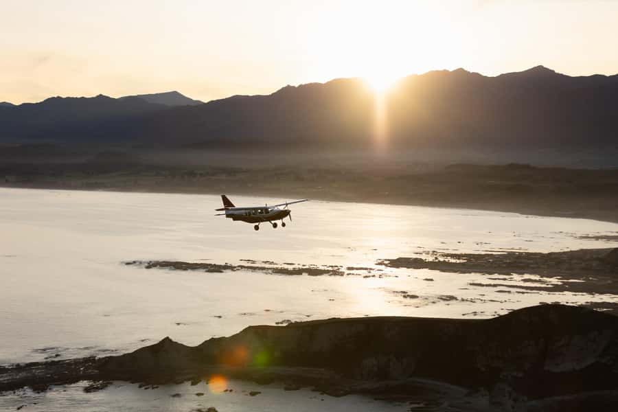 Kaikoura: Whale Watching Flight with Commentary - Why Kaikoura works so well from the air