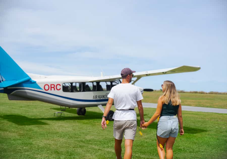 Kaikoura: Whale Watching Flight with Commentary - Commentary, coordination, and the people who shape the trip