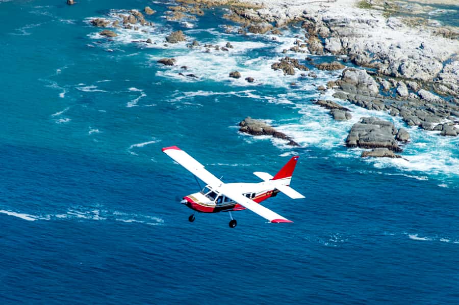 Kaikoura: Whale Watching Flight with Commentary - Practical details you should know before booking