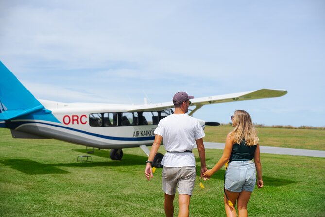 Kaikōura Whale Watching Scenic Flight (40 Minutes) - Why seeing Kaikōura from the air is special