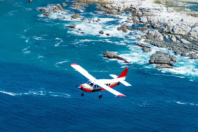 Kaikōura Whale Watching Scenic Flight (40 Minutes) - The pilots make a real difference