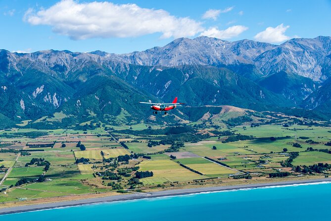 Kaikōura Whale Watching Scenic Flight (40 Minutes) - Is $170.66 good value?