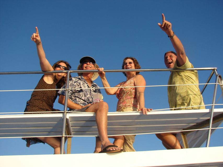 Kailua Kona: Humpback Whale Watching Adventure Cruise - What the 2.5-hour cruise feels like