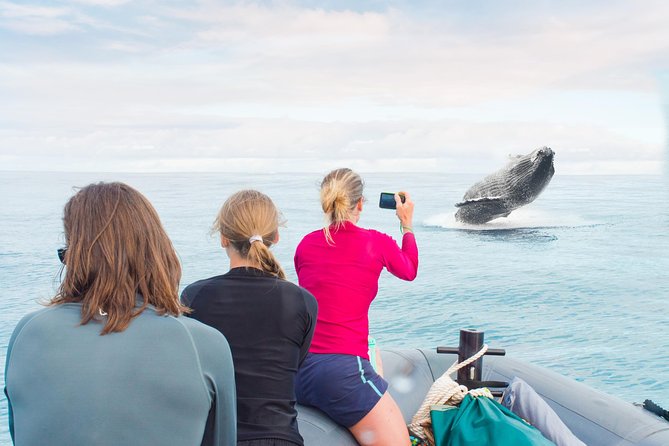 Kauai Raft Adventure: Whale Watch Discovery - Key points to know before booking
