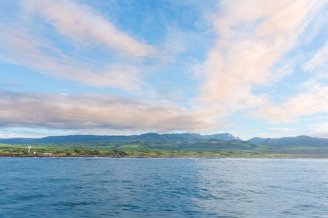 Kauai Raft Adventure: Whale Watch Discovery - Who will enjoy this Kauai whale watch