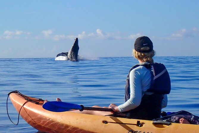 Kayak and Whale Watching Tour - 7:00 am at Makena Landing Park