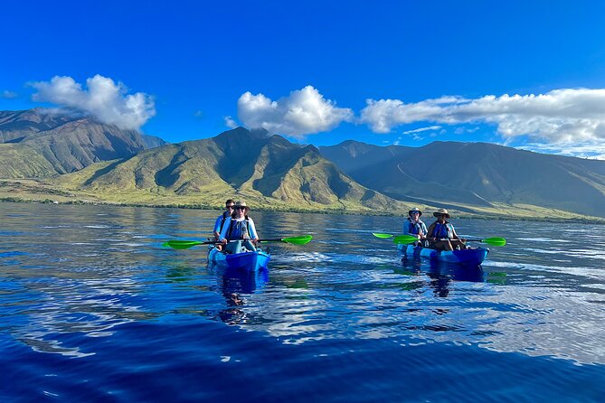 Kayak & Turtle Town Snorkel(Turtles Guaranteed) + Whale Watching - Key points to know before you book