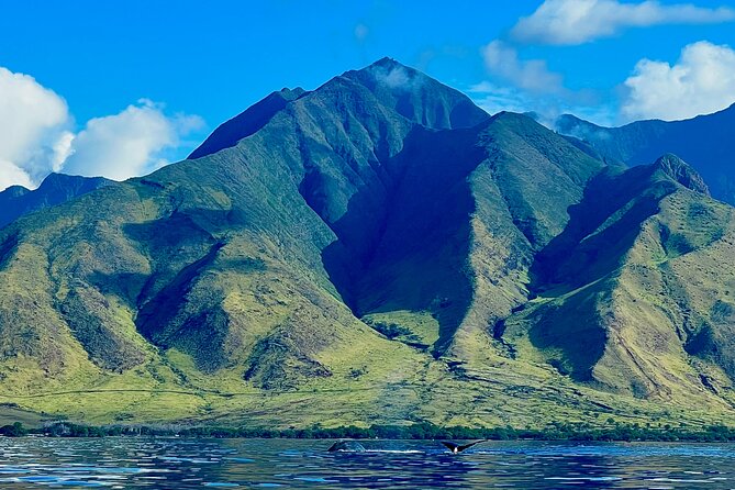 Kayak & Turtle Town Snorkel(Turtles Guaranteed) + Whale Watching - Starting at Olowalu Beach