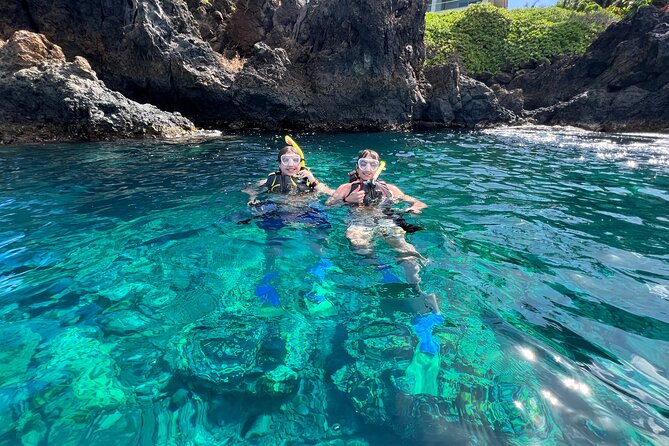 Kayak & Turtle Town Snorkel(Turtles Guaranteed) + Whale Watching - Guides, photos, and the small-group feel