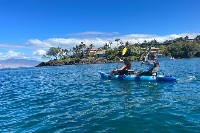 Kayak & Turtle Town Snorkel(Turtles Guaranteed) + Whale Watching - Price, timing, and practical value