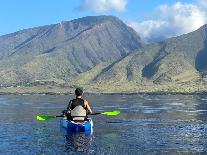Kayak, Whale Watch And Snorkel At Turtle Town - Booking flexibility and timing