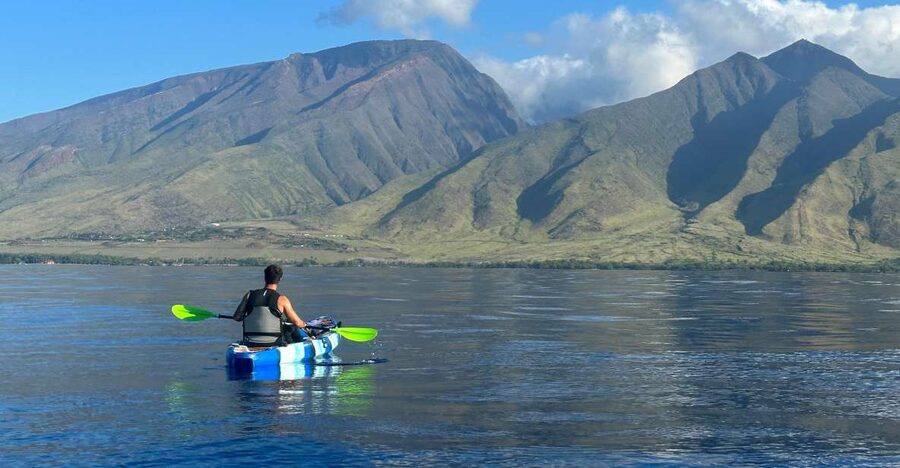 Kayak, Whale Watch And Snorkel At Turtle Town - Whale watching from water level